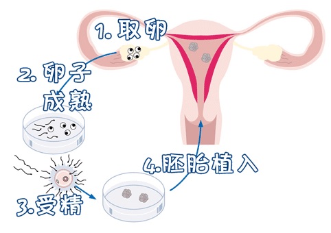 木棉医疗中心